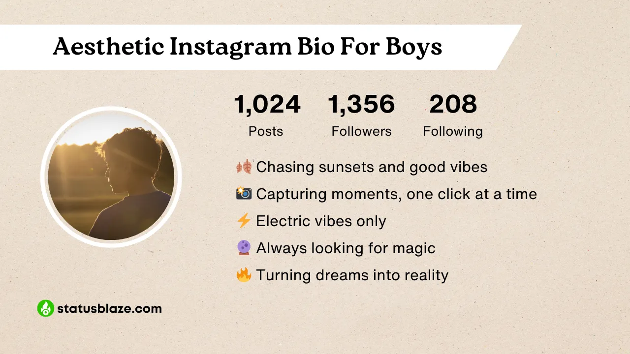 insta bio for boys attitude