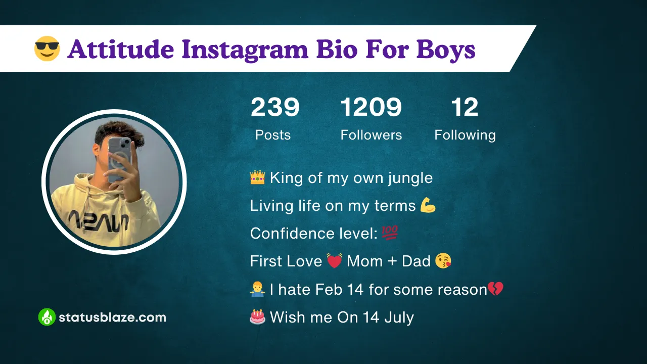 insta bio for boys attitude