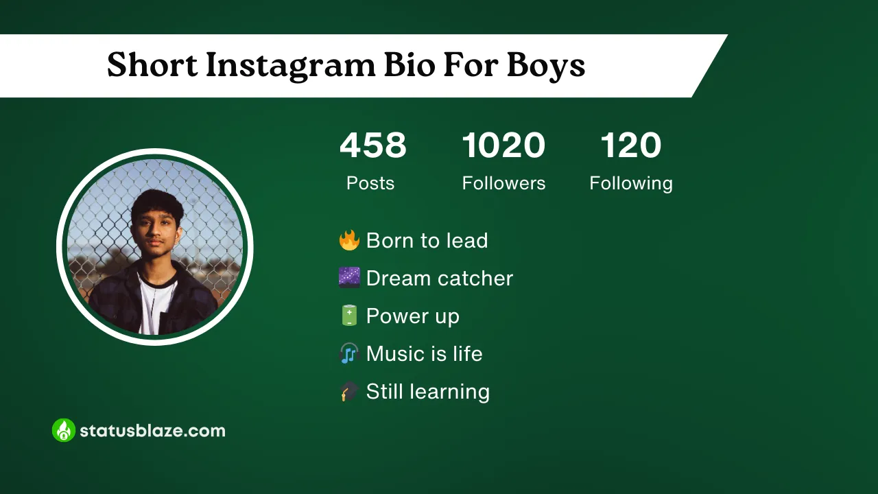 insta bio for boys attitude