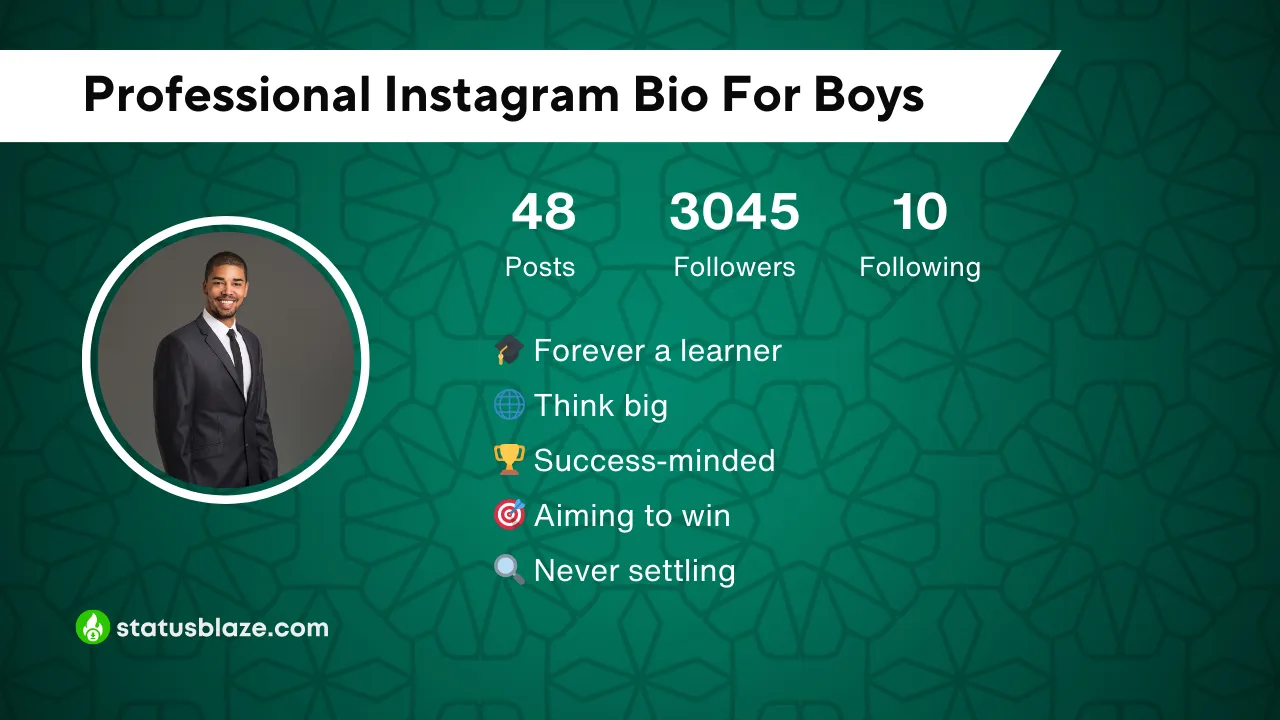 insta bio for boys professional