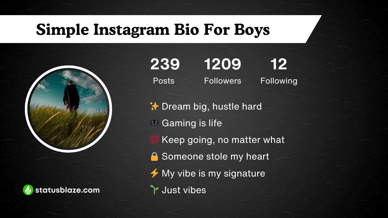 insta bio for boys simple